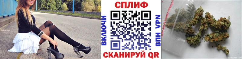 Купить  Суворов  Конопля THC 21% 